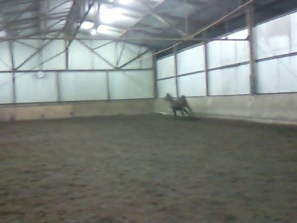 Vivaldie en mode pétage de plomb