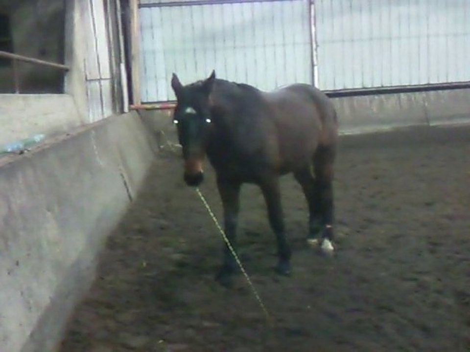 Einstein et ses bétises ...