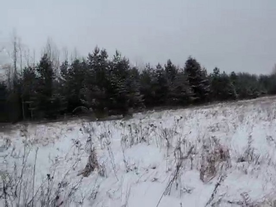 Showshoeing1
