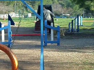 nles photos 028