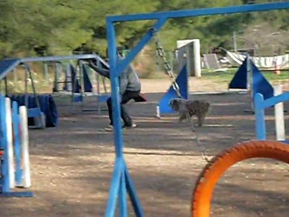 nles photos 030