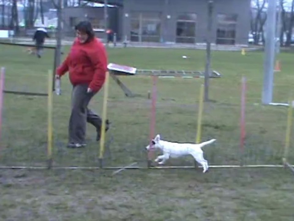 easy slalom1
