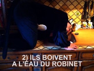 General Bye Bye - Ronron