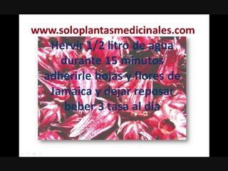 Solo Plantas Medicinales [jamaica]