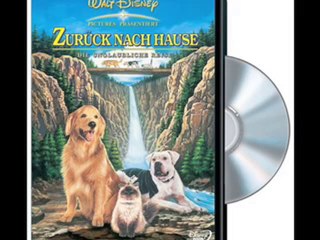 Video Dater - Lloyd Crimsby