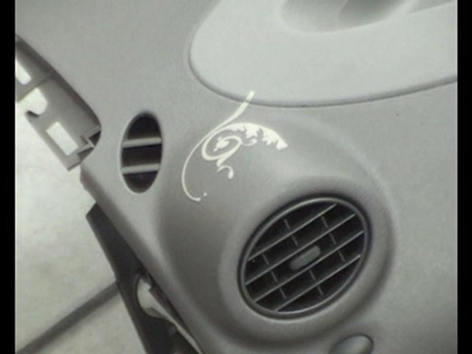 APPLICATION MARQUGE LASER GRAND CHAMP LASER CHEVAL