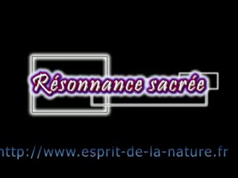 Yoga du son géobiologie quantique et simplicité