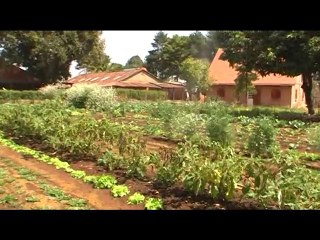 MADAGASCAR - Le Village de la Joie (Association Humanitaire)