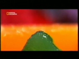 Psicodelia: Efectos del LSD