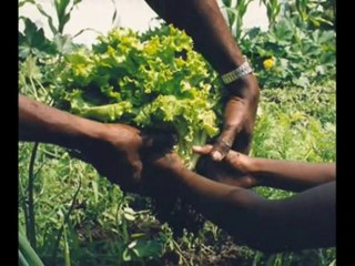 El secreto subtitulos en español. 11 simples pasos para..