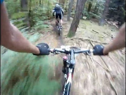 21 MTB Wasgau marathon 2010