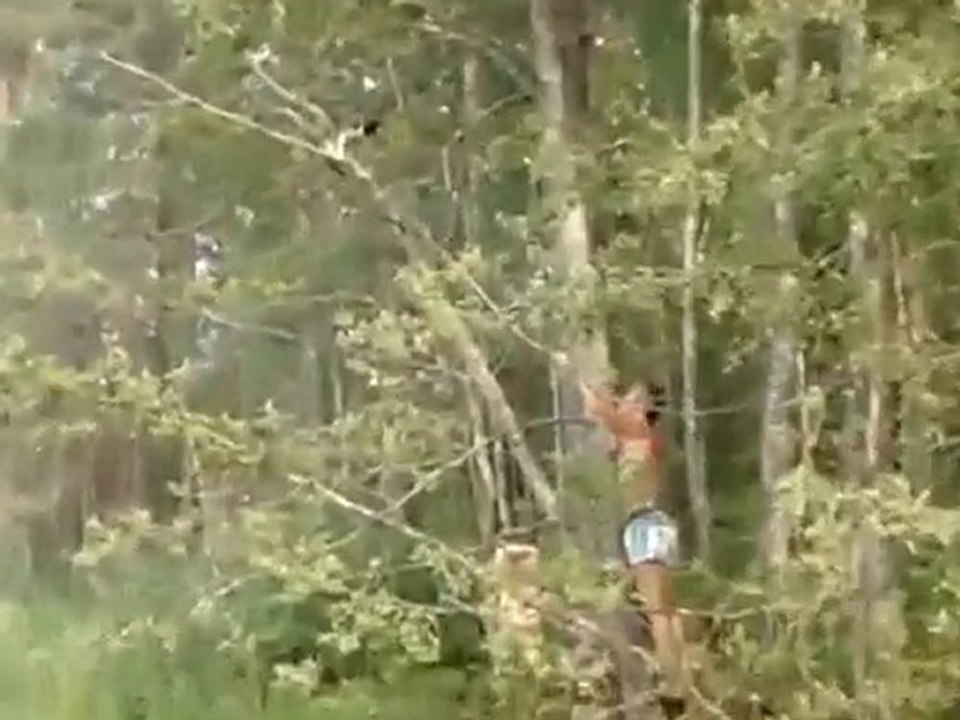 Régis & le Chat... (Lol)