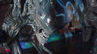 alien hot toys  custom
