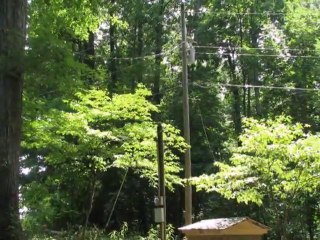 Homes for Sale - 3655 Mangum Rd - Talmo, GA 30575 - Robert Williams ABR,CSN,REO