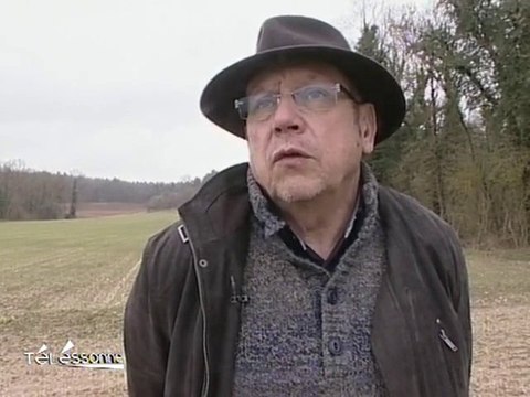 Les sangliers de plus en plus visibles en Essonne