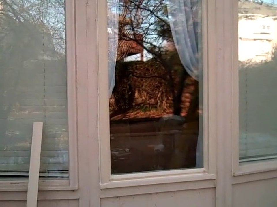 Wood Rot Repair in Overland Park