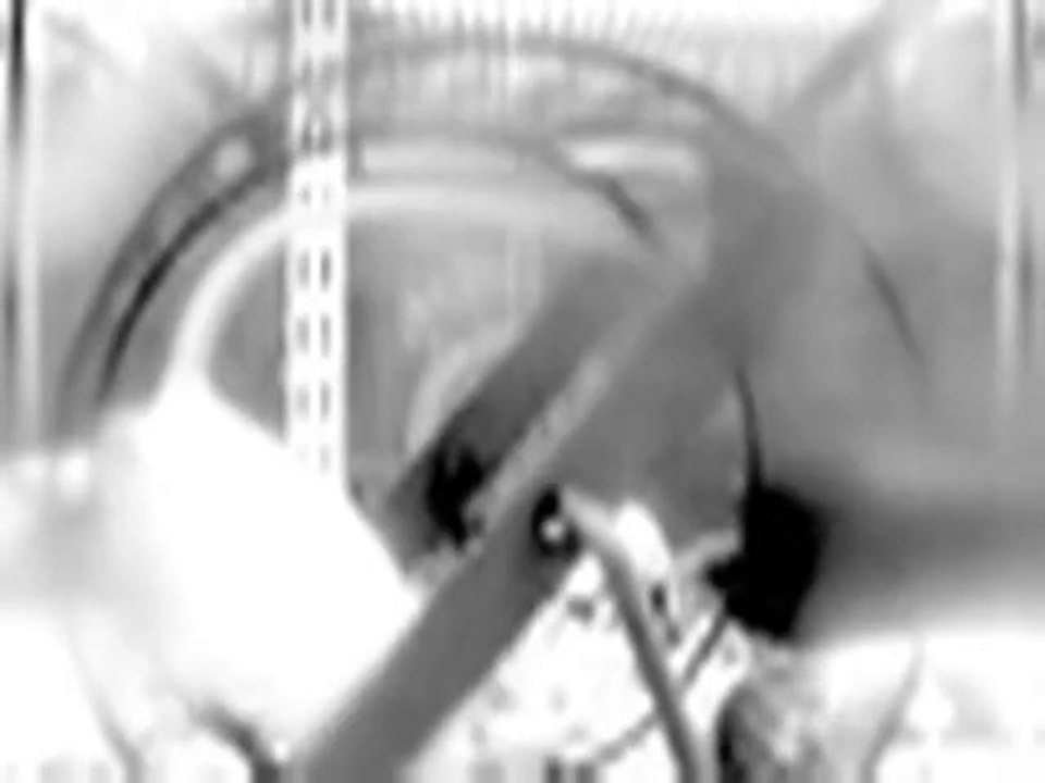 "Pour Cesare VANNINI" Giney AYME avec texte et voix de Serge