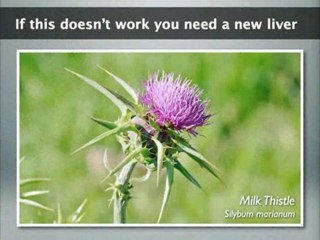 'Deathcaps' for a Reason: Don't Eat This Mushroom