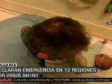 Emergencia sanitaria en Bulgaria por epidemia de AH1N1