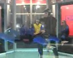 Indoor Skydiving at ifly