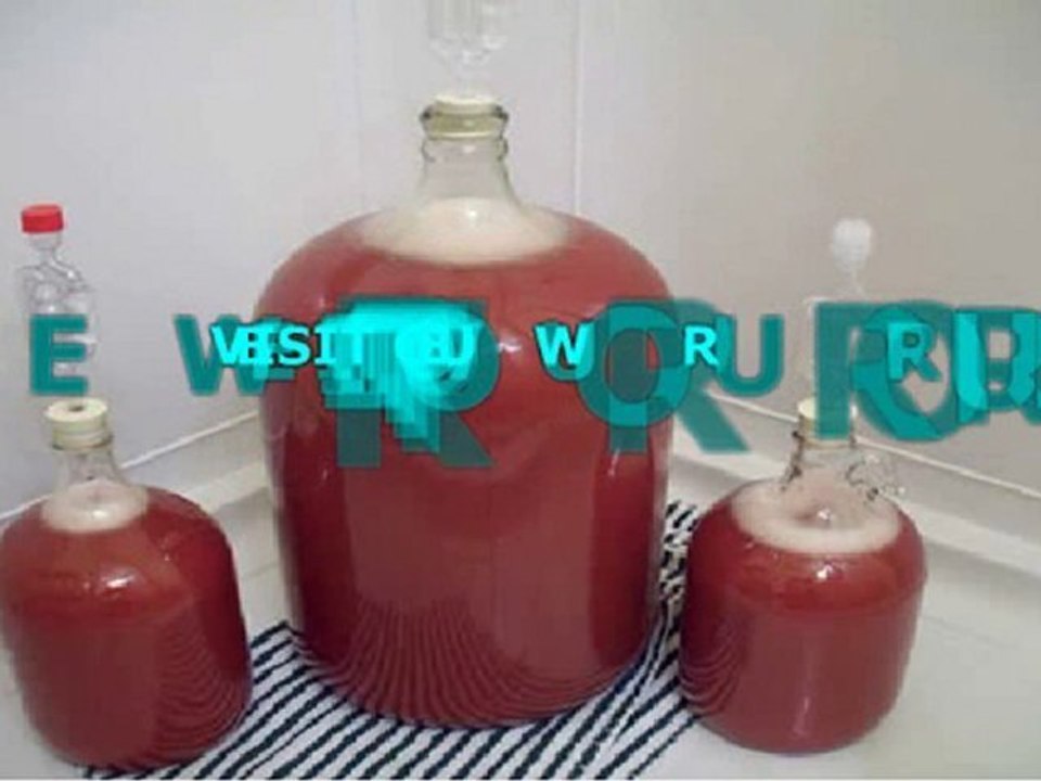 Learn How To Make Homemade Wine Fast