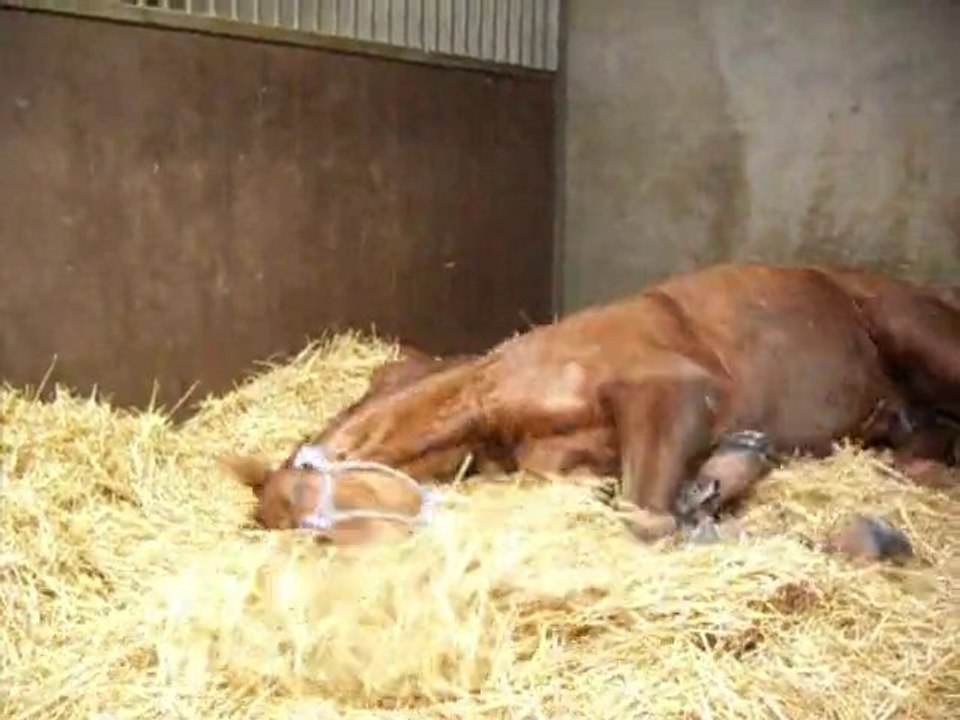 Aprés l'effort, le réconfort !!