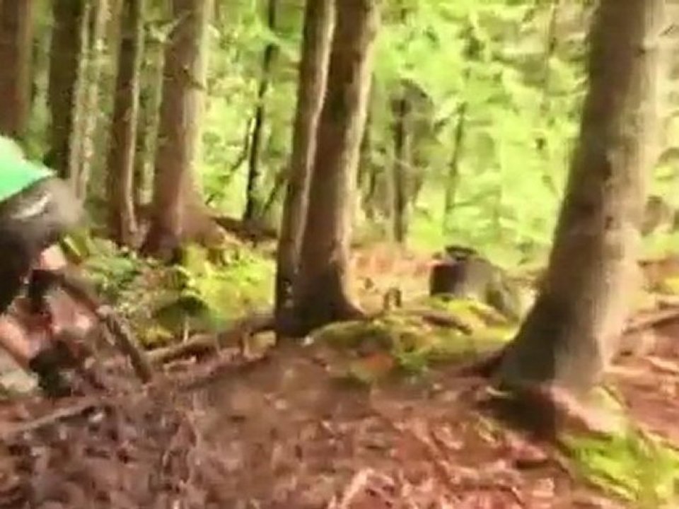 Champéry Downhill Freeride