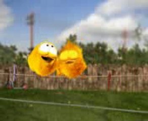 Fluffy little birds By synergy.net.pk/home