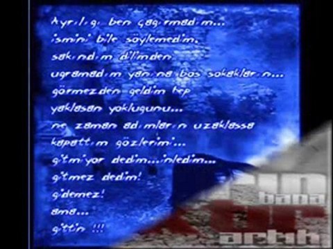 Mustafa Özarslan Sen Giderken Karanfiller sıralıydı