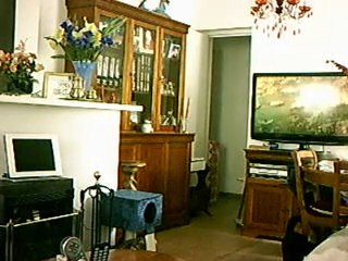 2010 8 8 mes chats et moi 69ans % 1mn 27