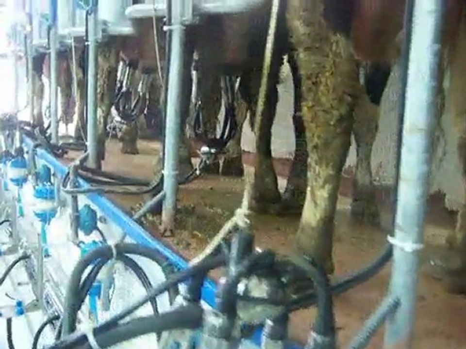 Alaattin Köyü Tarımsal Kalkınma Kooperatifi Merkez Sağım Sis