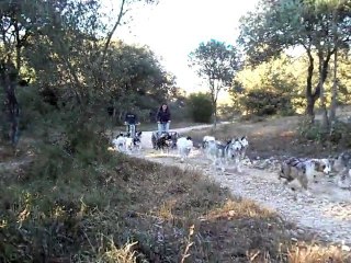 mushing 051