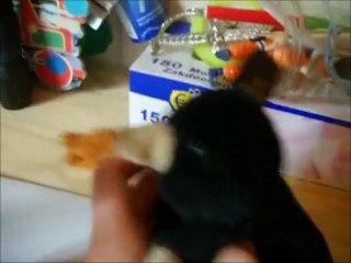 Rigolez Pas Ça Peut Vous Arriver 2