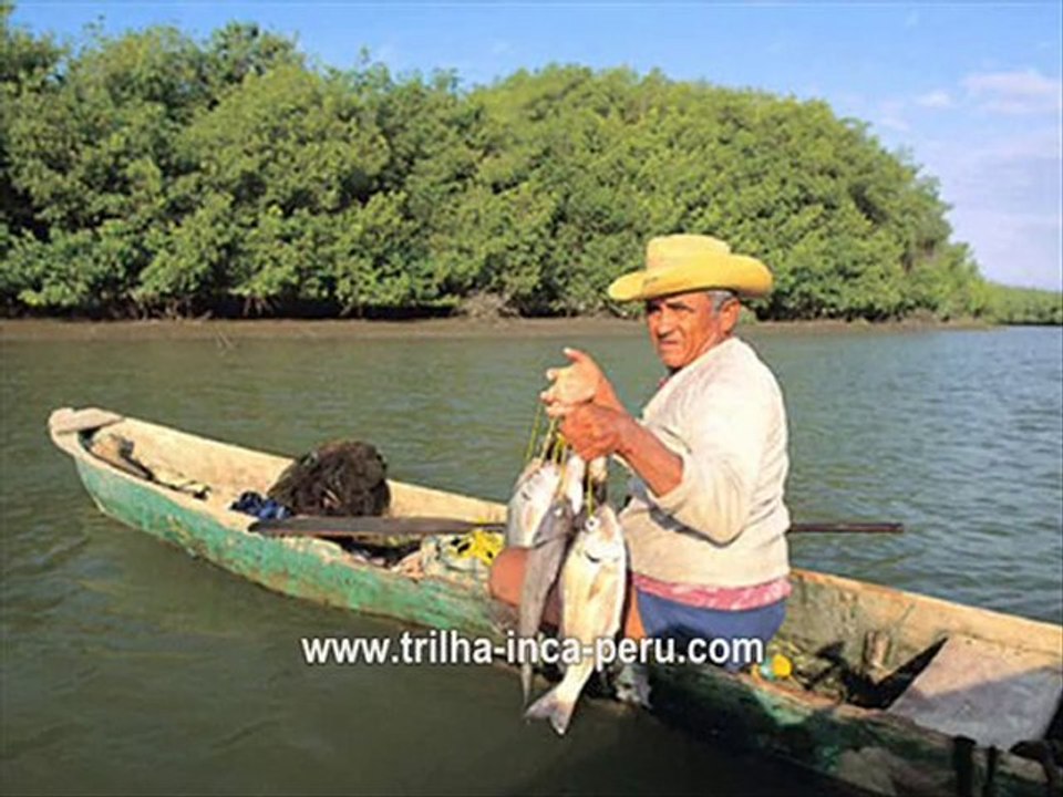Peru and Travel