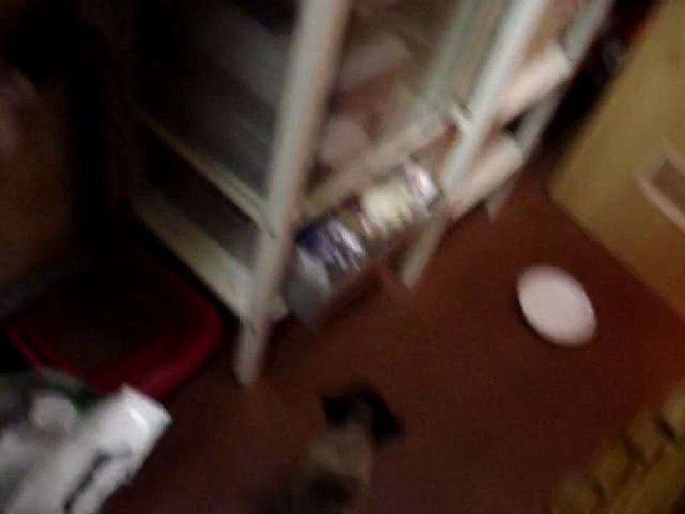 TIHI A FAIM