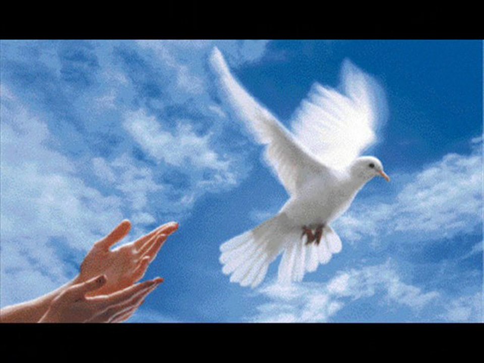 Amour et Paix de Gérard Palès