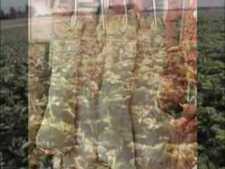 Gdzie sie podziały te PGRy