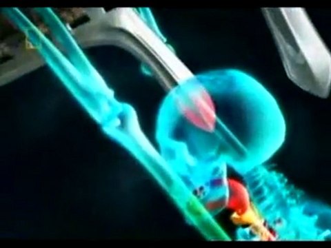 Kung Fu Killers: 10 deadliest weapons (part 2/5)