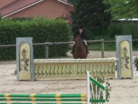 Cheval à vendre / Hongre 10 ans