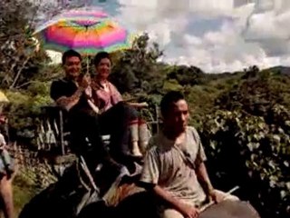 Rasa Comeban - Unicity Triple Diamond on Vimeo