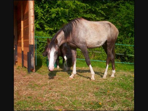 Singha Milin Avel ; son histoire. (!)