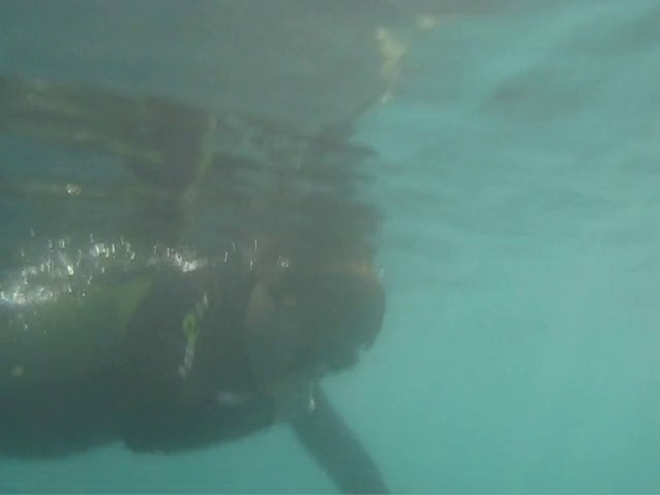 Klick-tip.info business und walhai, geht das ?