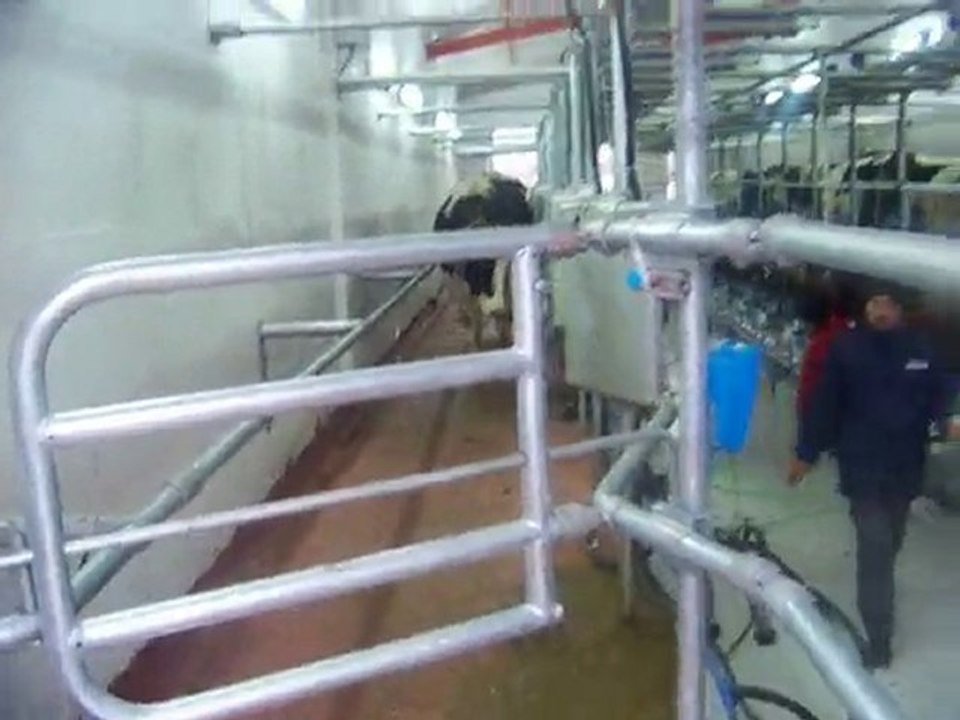 Alaattin Tarıms Kalkınma Kooperatif Otomatik Sağım Ünitesi 3