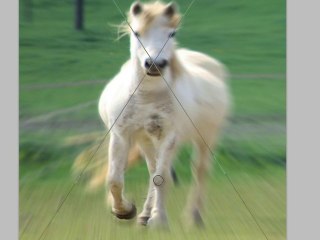 Photoshop Radial Blur