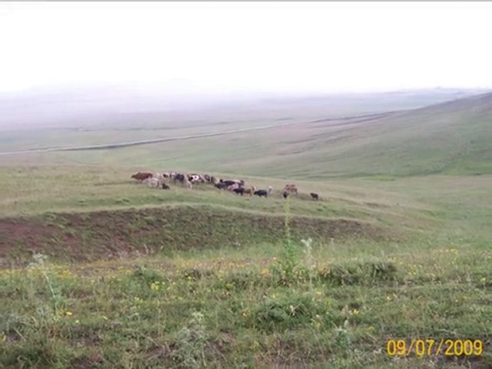 MIHEMEDE CANŞAH  ez rebena berxe mala usube seyido