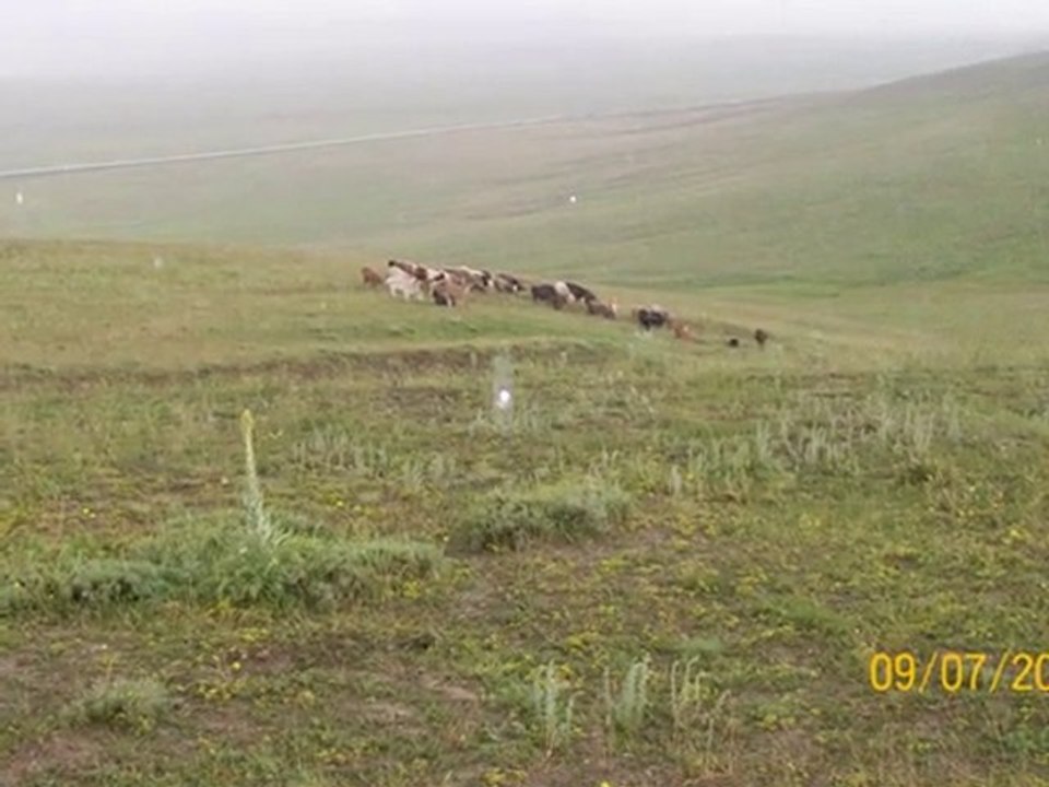 şakıro berxe mala usube seyido (DEDELERIMIZIN ANISINA)