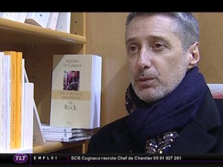 Dictionnaire amoureux du Rock par Antoine de Caunes