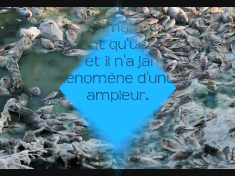 La Mort, à Qui le Tour ??? Aux Hommes