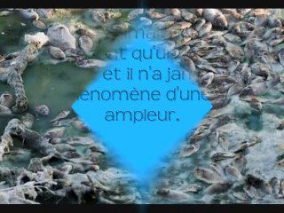 La Mort, à Qui le Tour ??? Aux Hommes