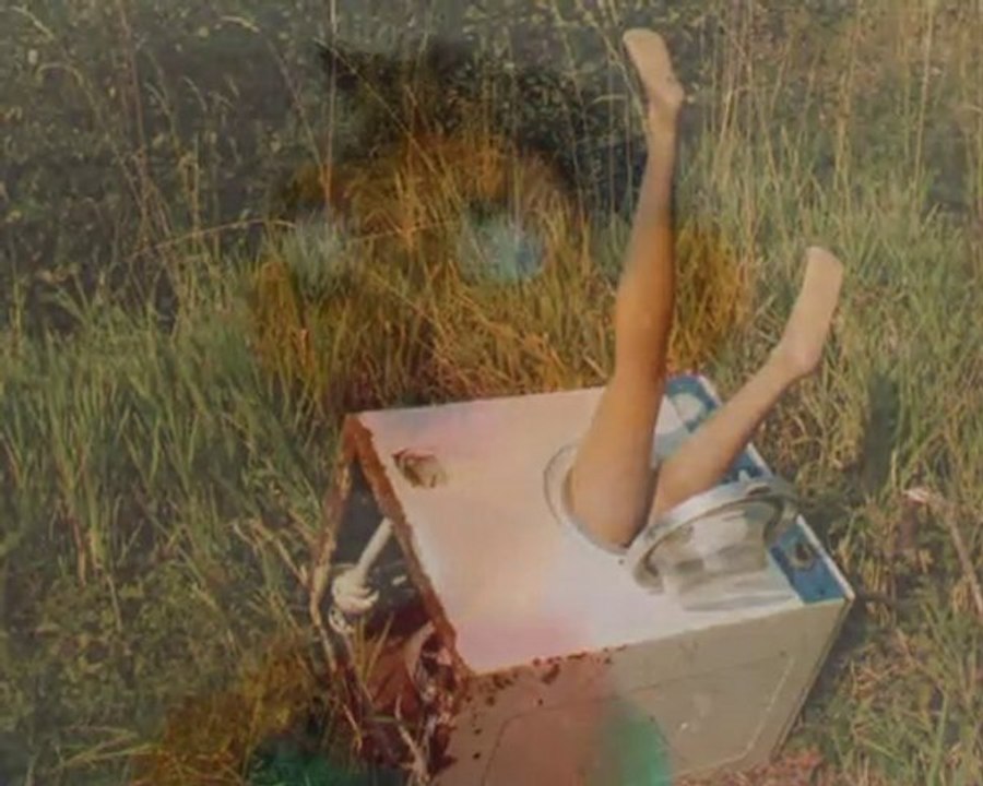 les zonzons flingueurs